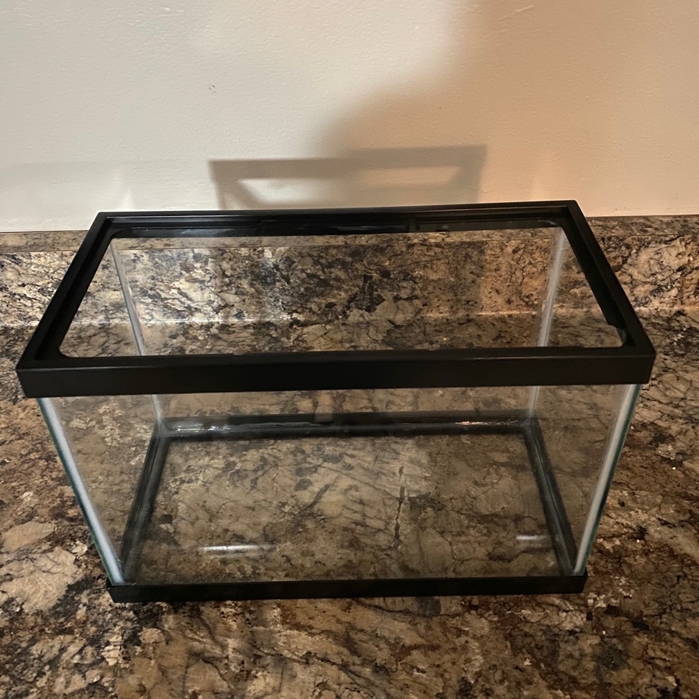 Betta fish, fish tank with betta accessories